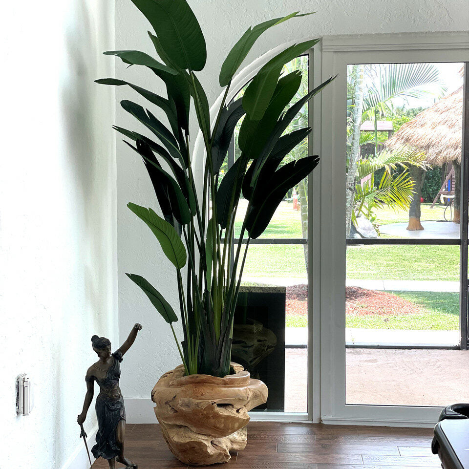 Premium Large Teak Wood Vase with Magnificent Strelitzia (Bird of Paradise Flower)