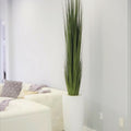 Premium Dax Vase (Size L) with Reed Grass