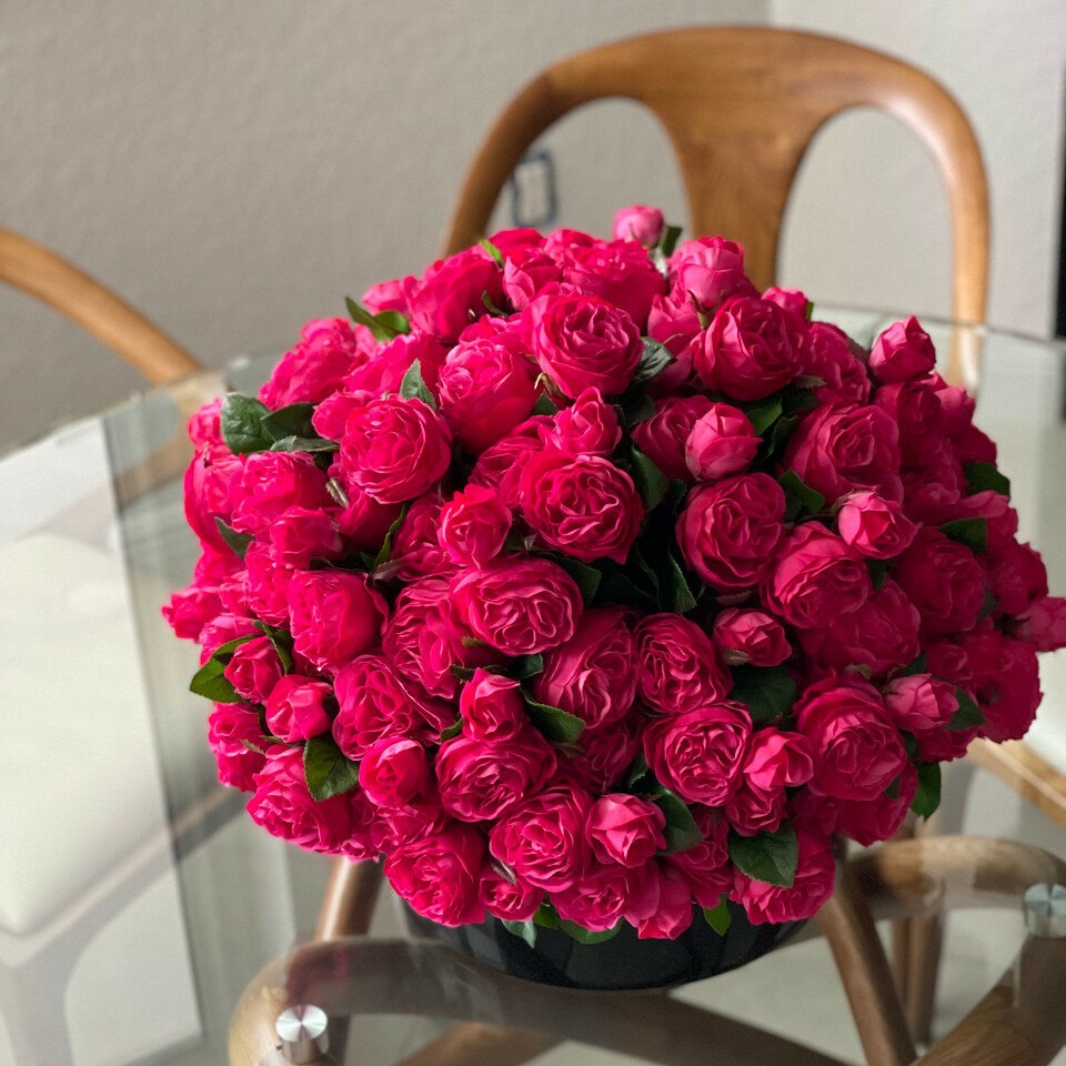 Premium Dunkelrosa englische Rosen in schwarzer Glasvase