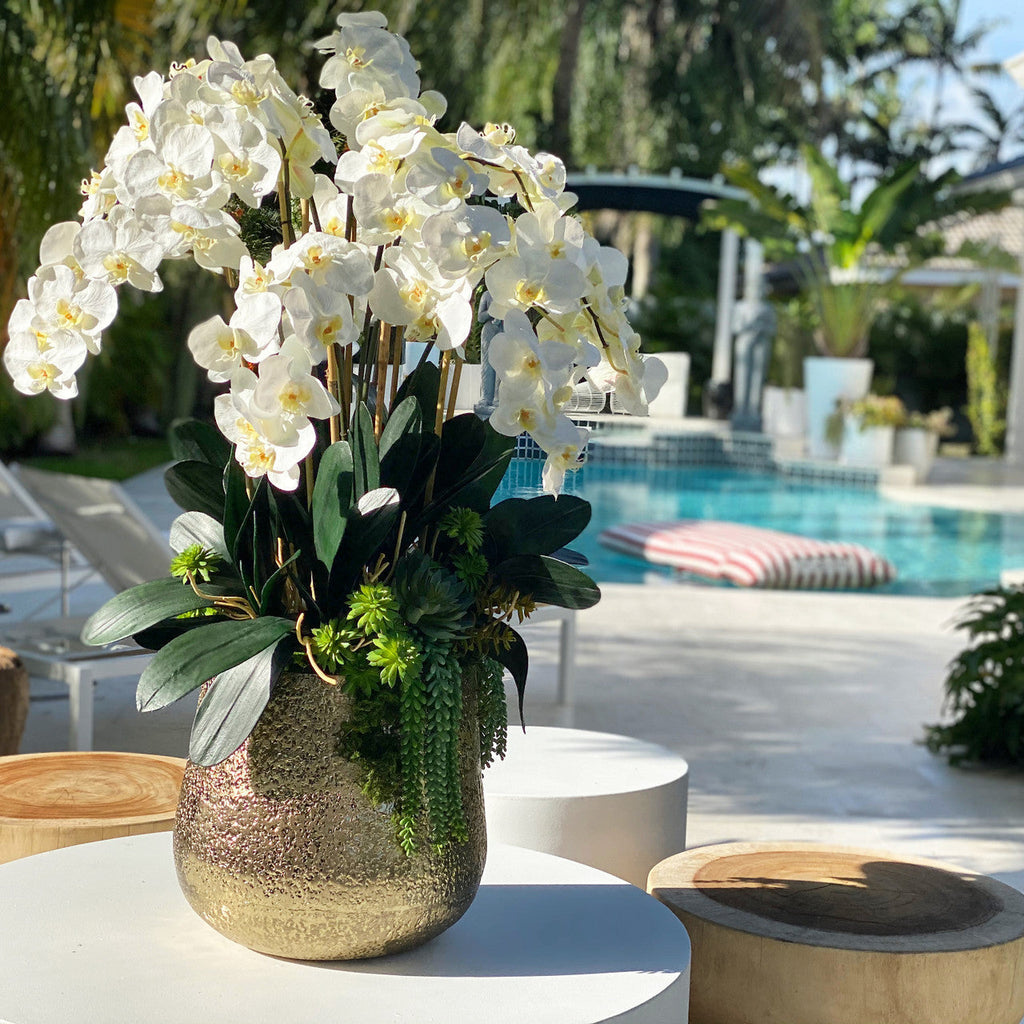 Premium Delaney vase in gold with multiple phalaenopsis orchid stems and succulents