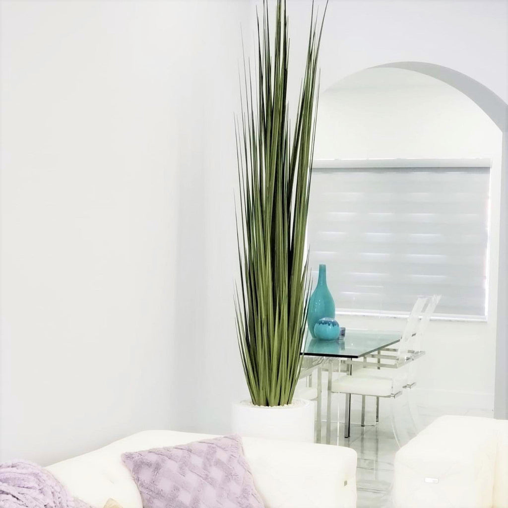 Premium Dax Vase (Size L) with Reed Grass