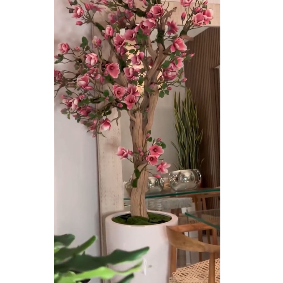 Premium Pink Magnolia Tree in St. Tropez Pot in Radiant White – New Release