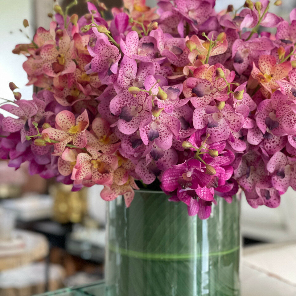 Premium Mixed Mokara Orchids in large Rota Cylinder
