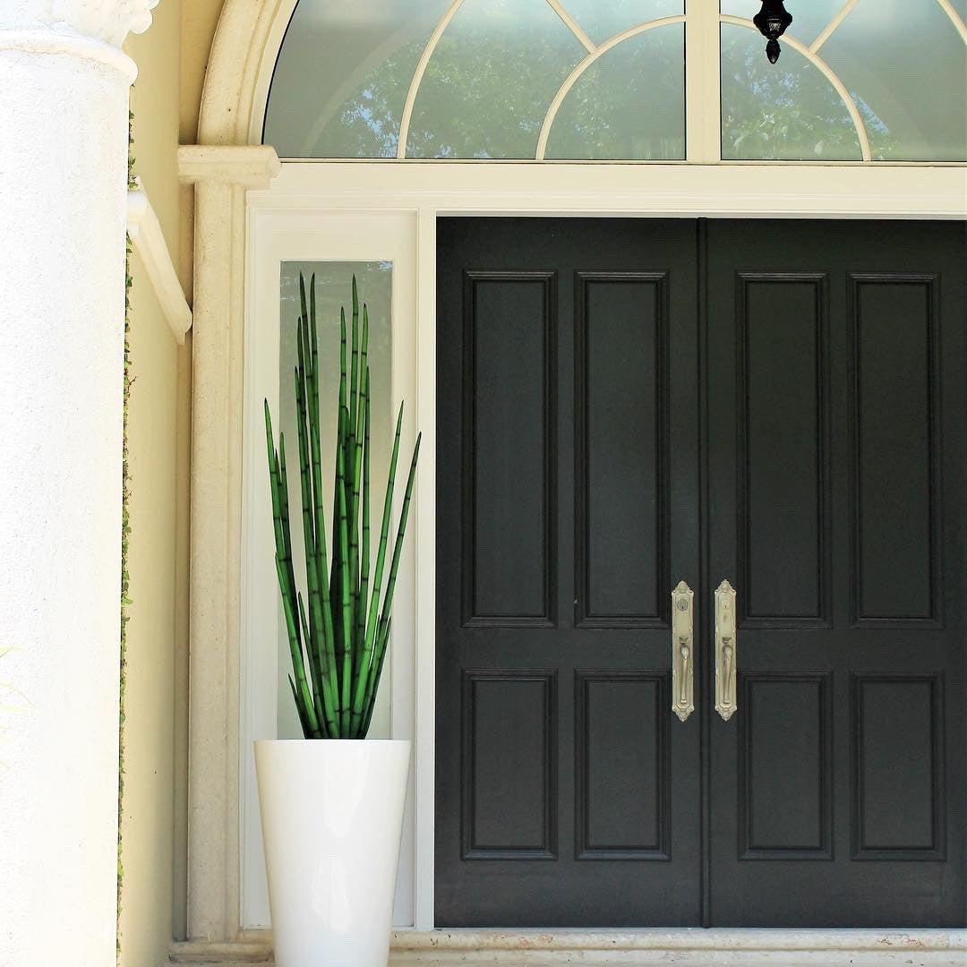 Premium Snake Grass (160 cm) with Belle M Planter