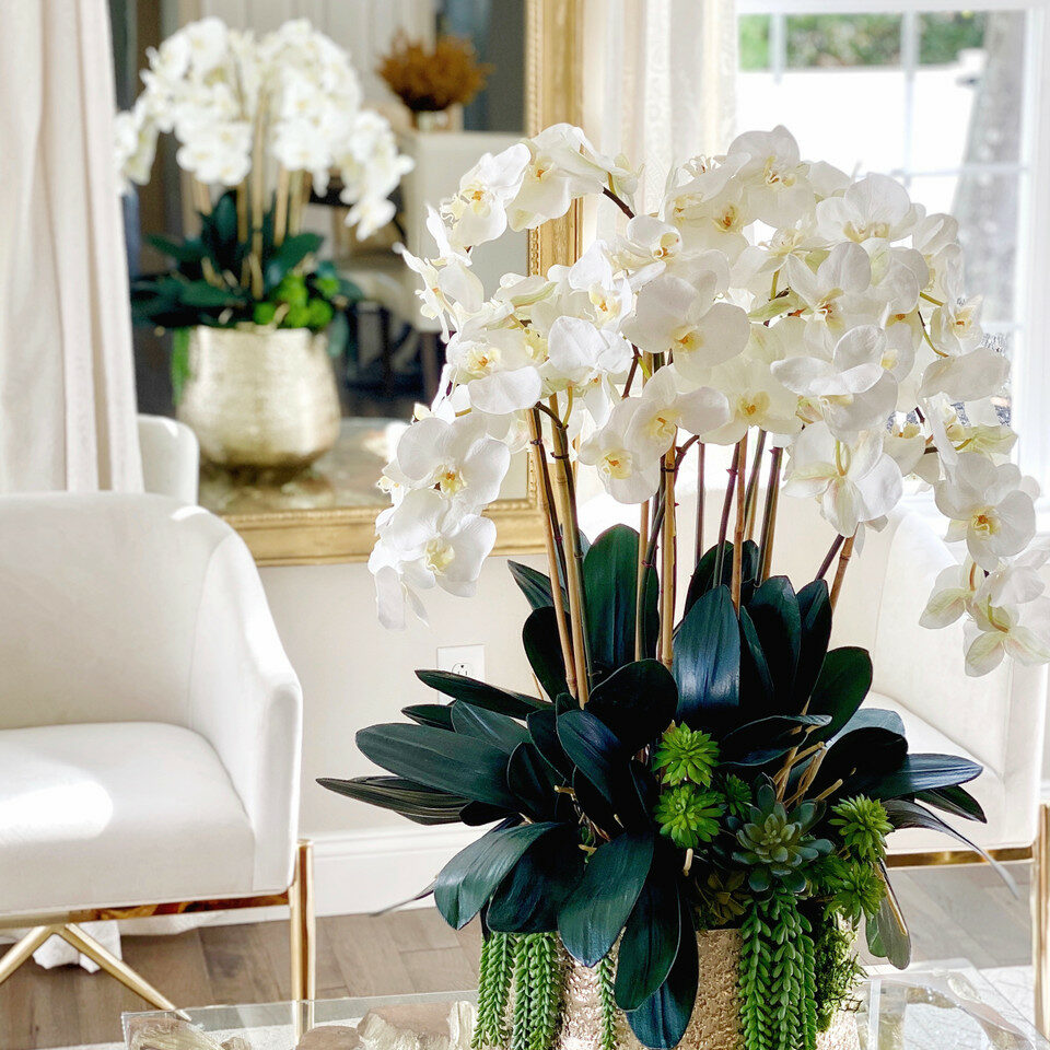 Premium Delaney-Vase in Gold mit mehreren Phalaenopsis-Orchideenstängeln und Sukkulenten