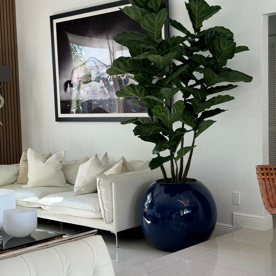 Premium 30″ blaue Kugelvase mit Geigenfeige
