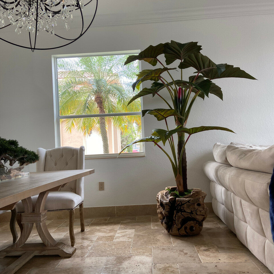Premium Large Teak Bowl with Alocasia Plant