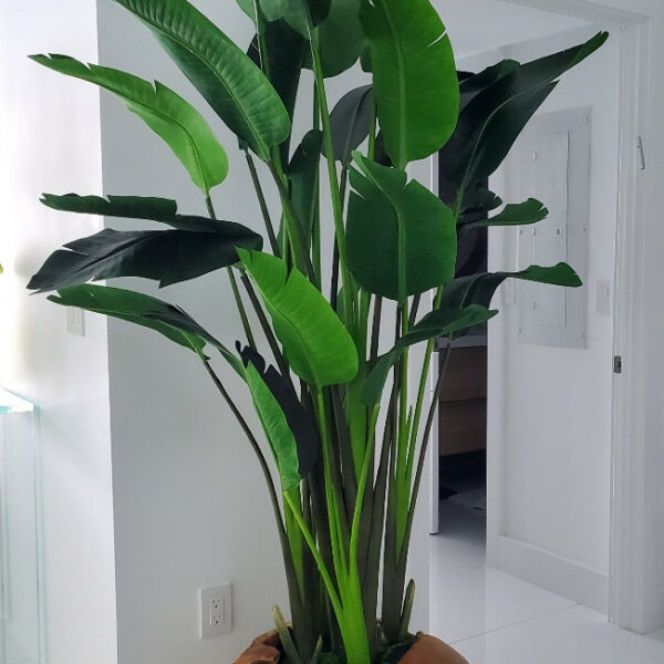 Premium Large Teak Wood Vase with Magnificent Strelitzia (Bird of Paradise Flower)