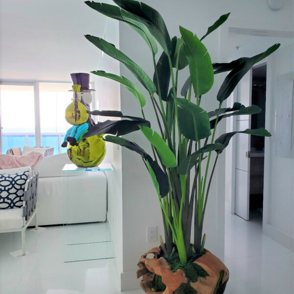 Premium Large Teak Wood Vase with Magnificent Strelitzia (Bird of Paradise Flower)