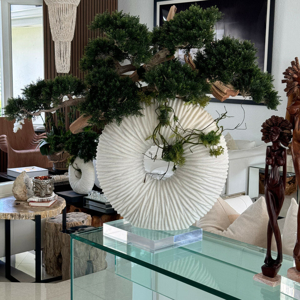 Premium Große Ewigkeitsvase mit hängendem Bonsai und Treibholz