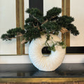 Premium Large Eternity Vase with Hanging Bonsai and Driftwood