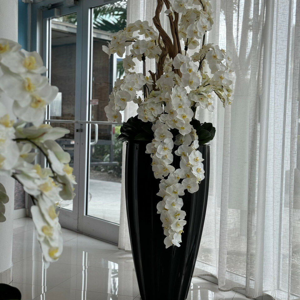 Premium San Jose Vase in glänzendem Schwarz mit hängenden gelben Orchideen