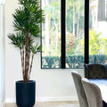 Premium palm in XL pot (black)