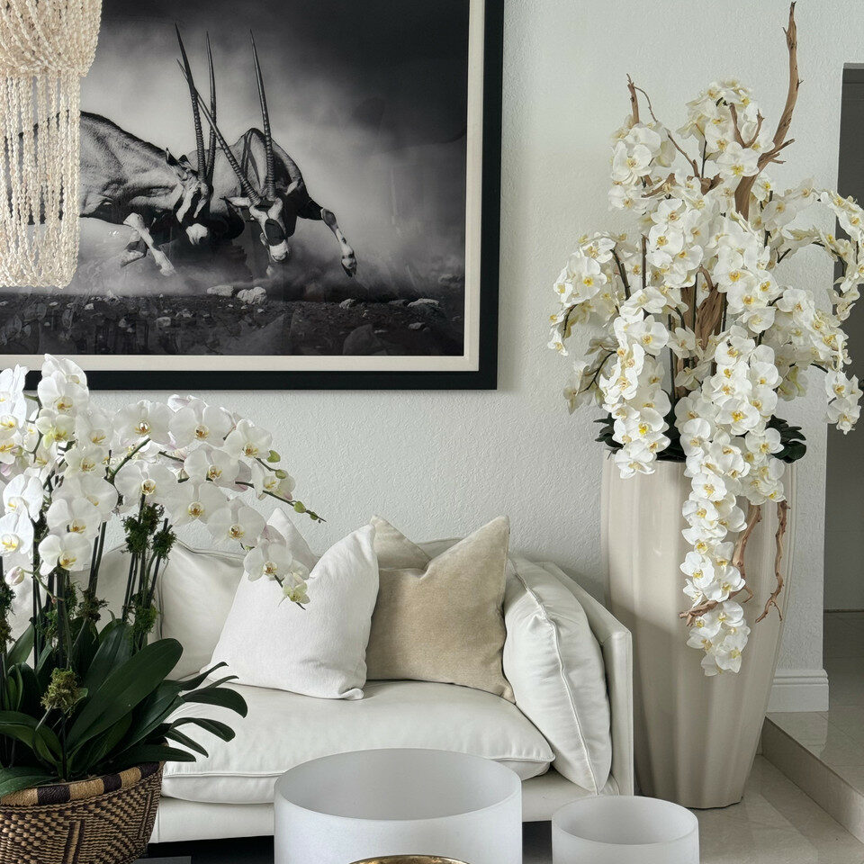 Premium San Jose Vase in sandy beige with white orchids in a waterfall design