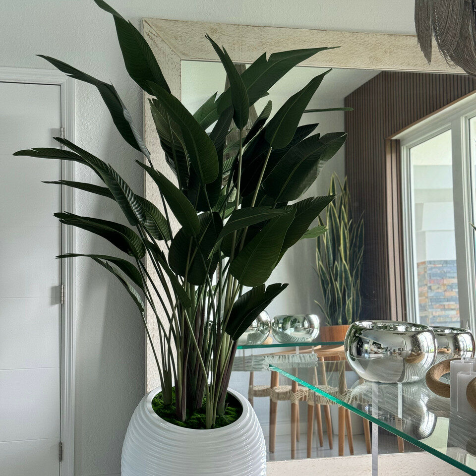 Premium Strelitzie in weißer Spiralvase