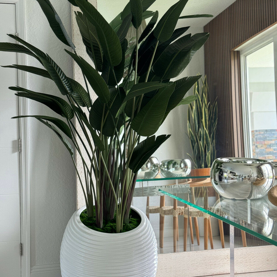 Premium Strelitzie in weißer Spiralvase