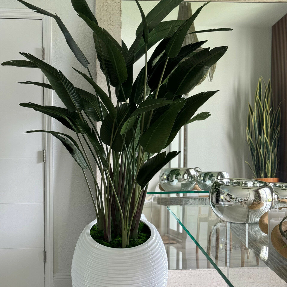 Premium Strelitzie in weißer Spiralvase