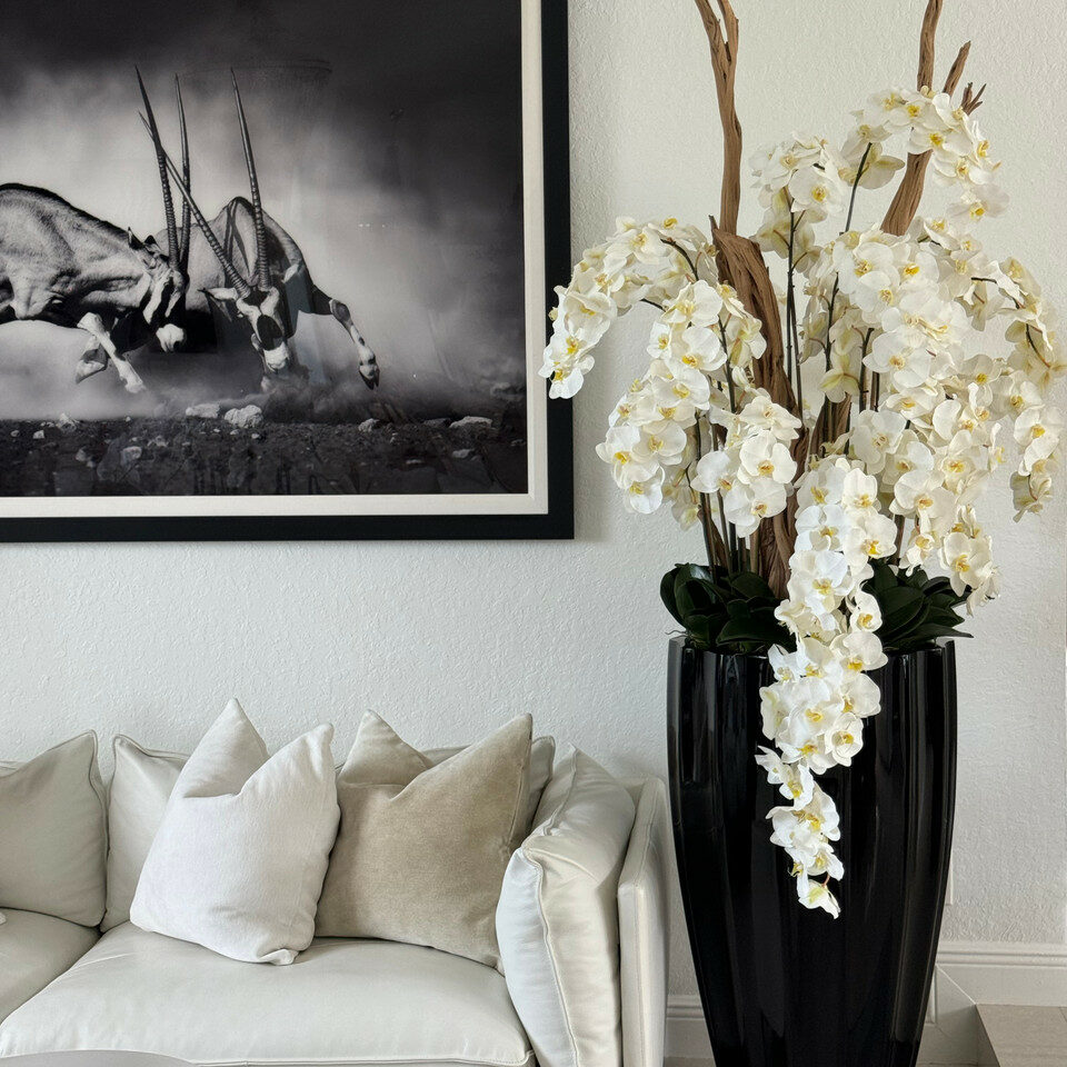 Premium San Jose Vase in glänzendem Schwarz mit hängenden gelben Orchideen