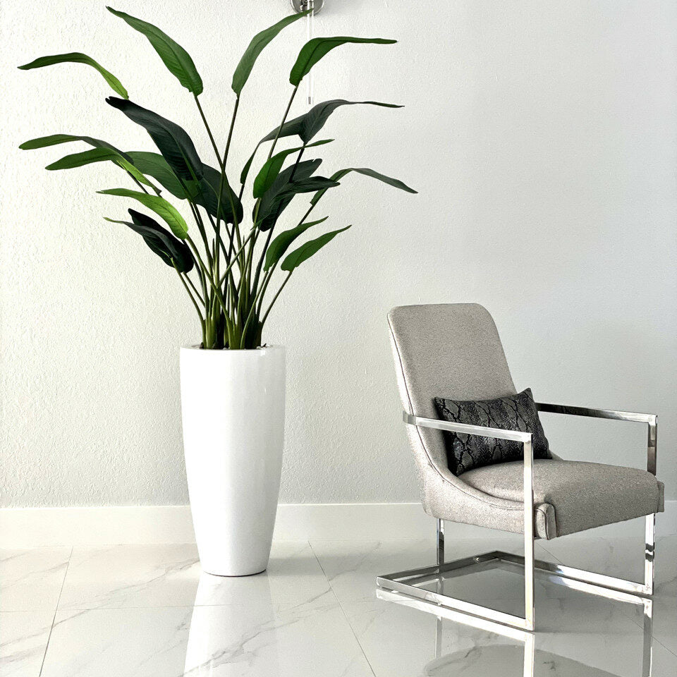 Premium 2,1 m Paradiesvogelblume mit Dax L Topf