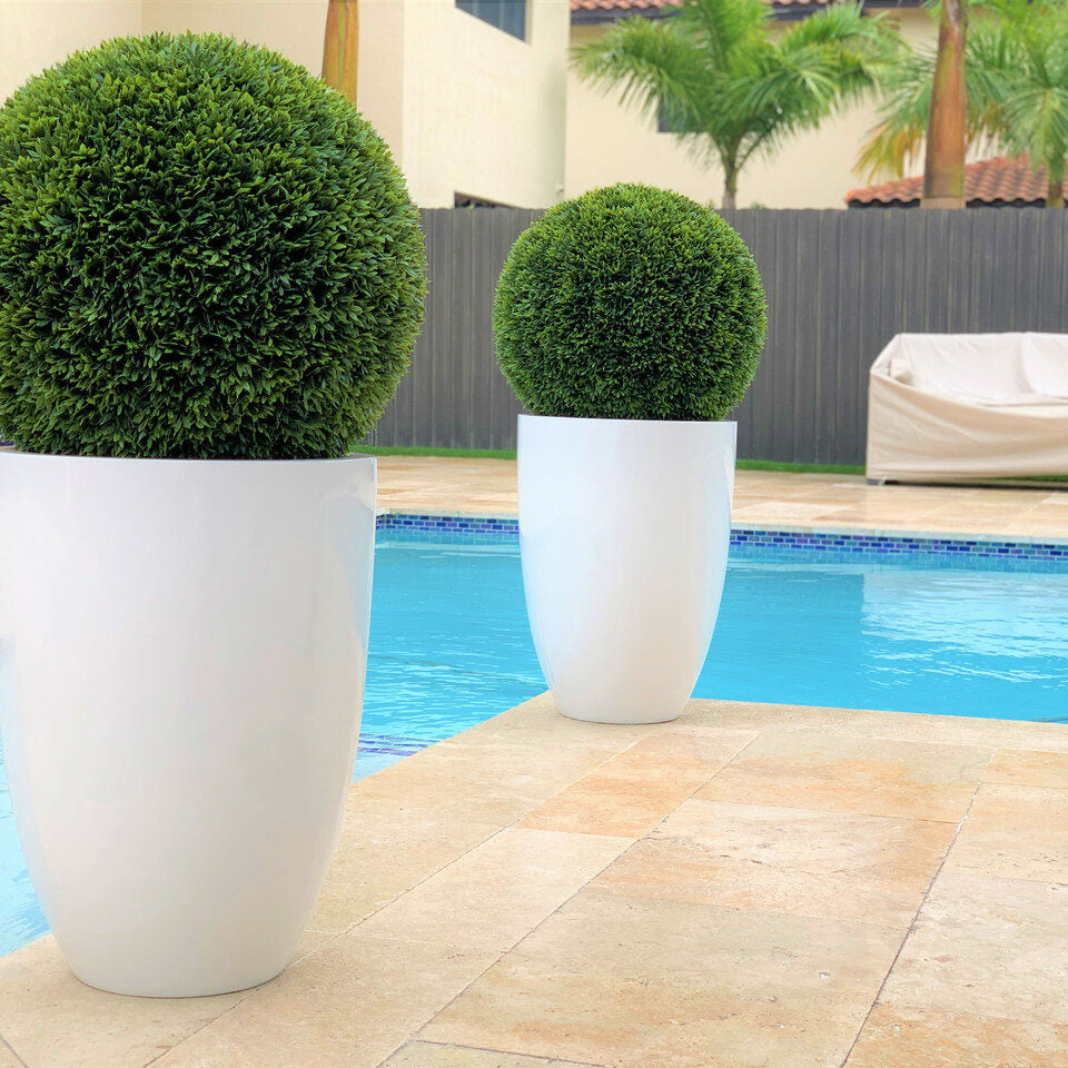 Premium Formschnittgehölz im Ben-Pflanzgefäß – 51 cm Fiberglas