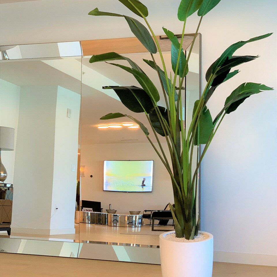 Premium Bird of Paradise (2.7 m) with Ben Planter in Gloss White