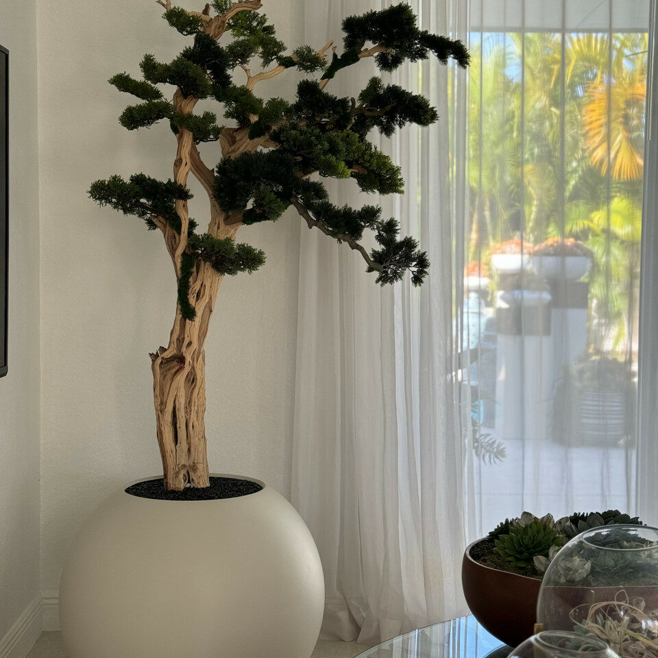 Premium Bonsai Tree in Spherical Planter - 180 cm, Satin Beige