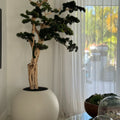 Premium Bonsai Tree in Spherical Planter - 180 cm, Satin Beige