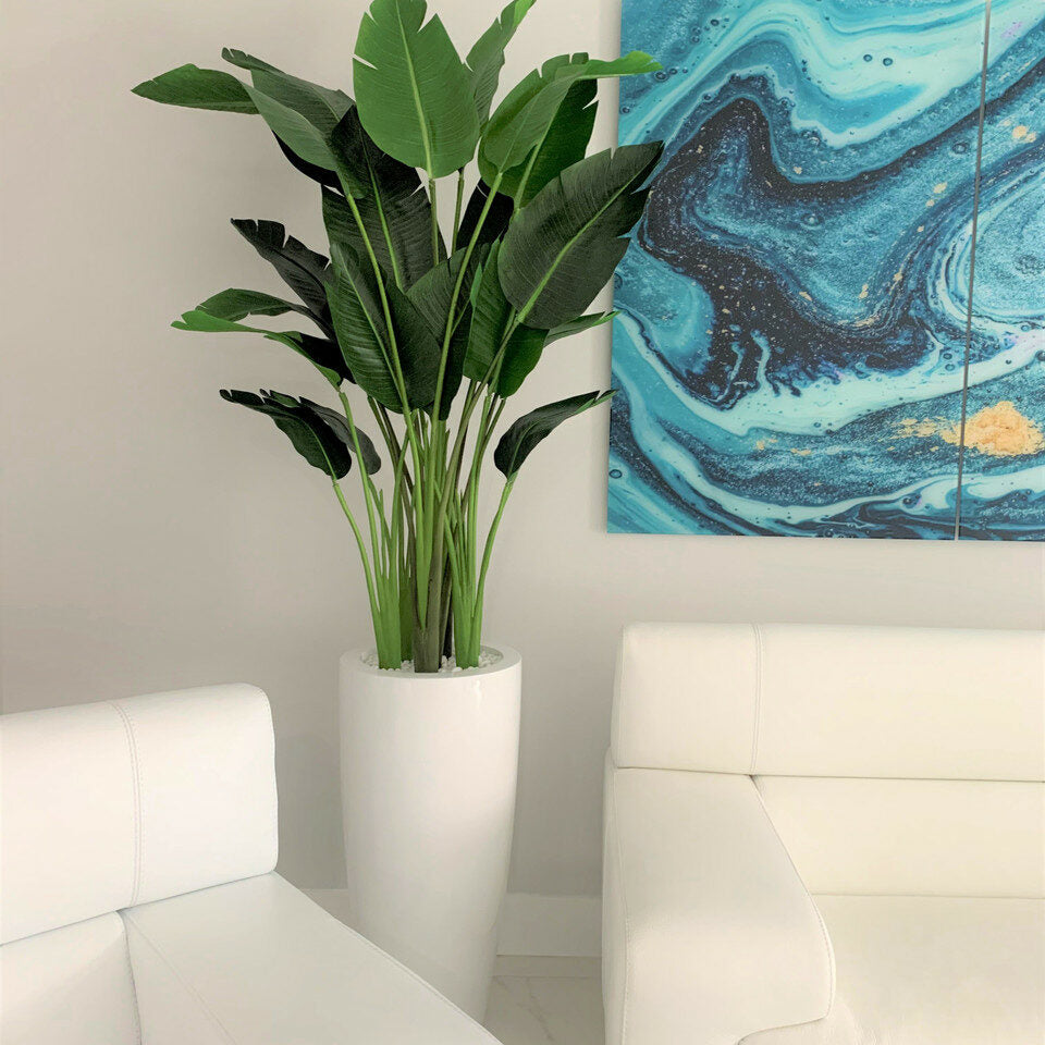 Premium 2,1 m Paradiesvogelblume mit Dax L Topf