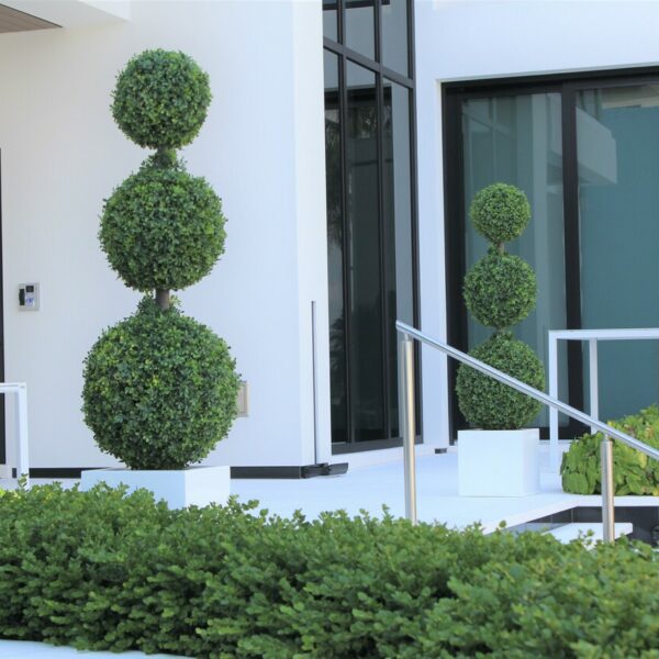 Premium Dreifachkugel-Topiary mit mittelgroßem Fiberglas-Topf