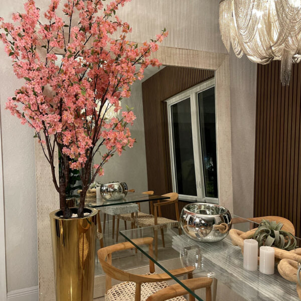 Premium Large Cherry Tree in Golden Planter