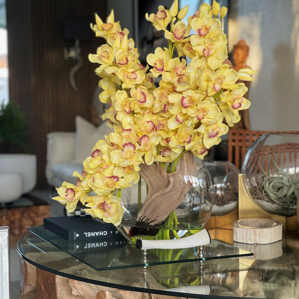 Premium Gelbe Cymbidium-Orchideen in Mondvase