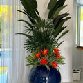 Premium A mix of tropical plants
