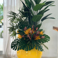 Premium A mix of tropical plants
