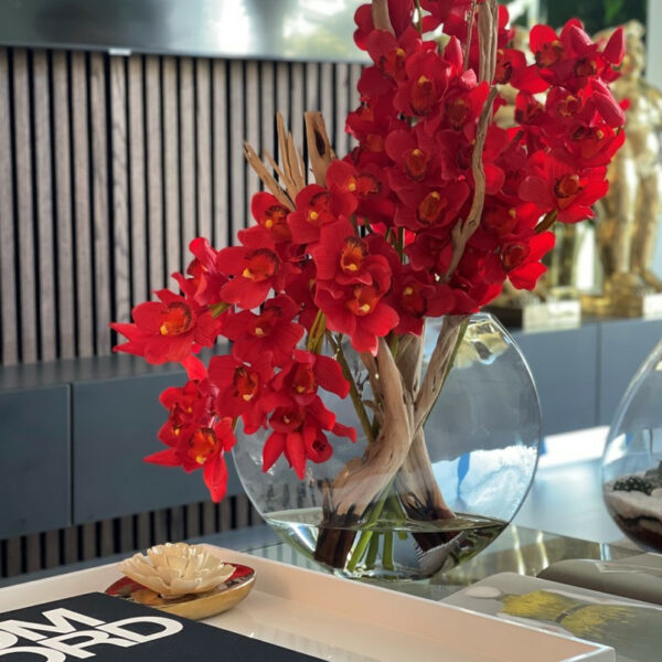 Premium Rote Cymbidium-Orchideen im Mond-Pflanzgefäß