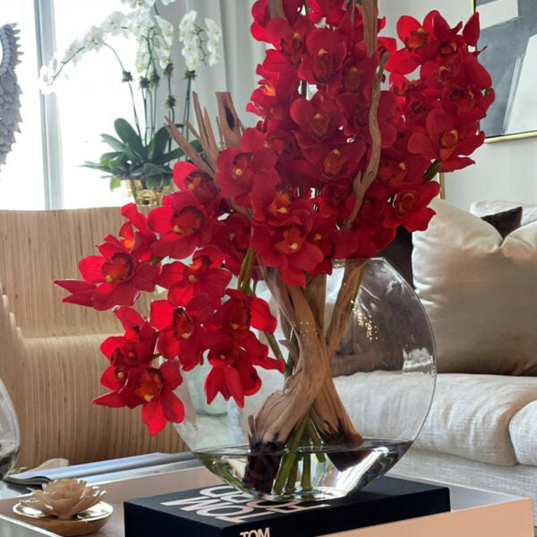 Premium Rote Cymbidium-Orchideen im Mond-Pflanzgefäß