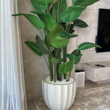 Premium Santa Barbara Pflanztopf in Mattbeige mit Paradiesvogelblume