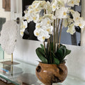 Premium Large Teak Bowl with White Orchids